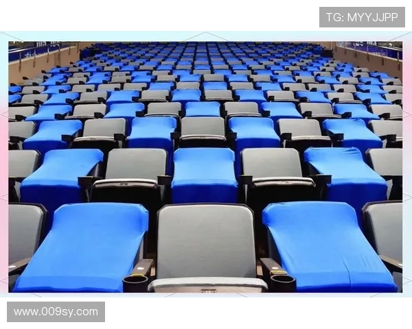 体育场馆内的数字化交互式观赛座椅方案